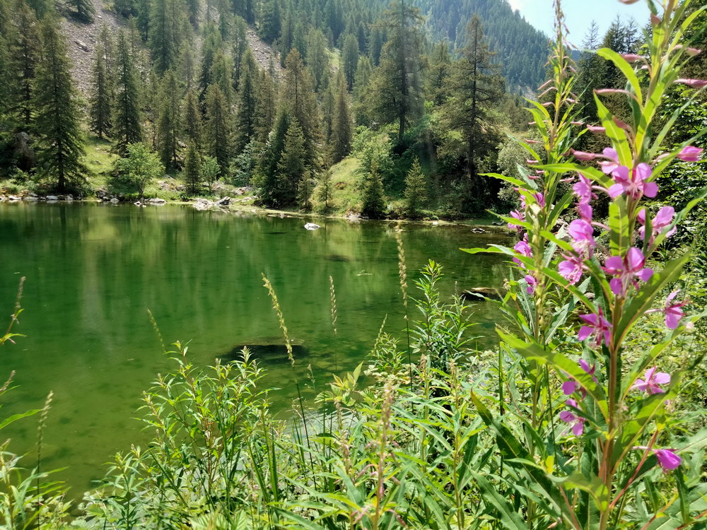 IMG20230713124449-rec